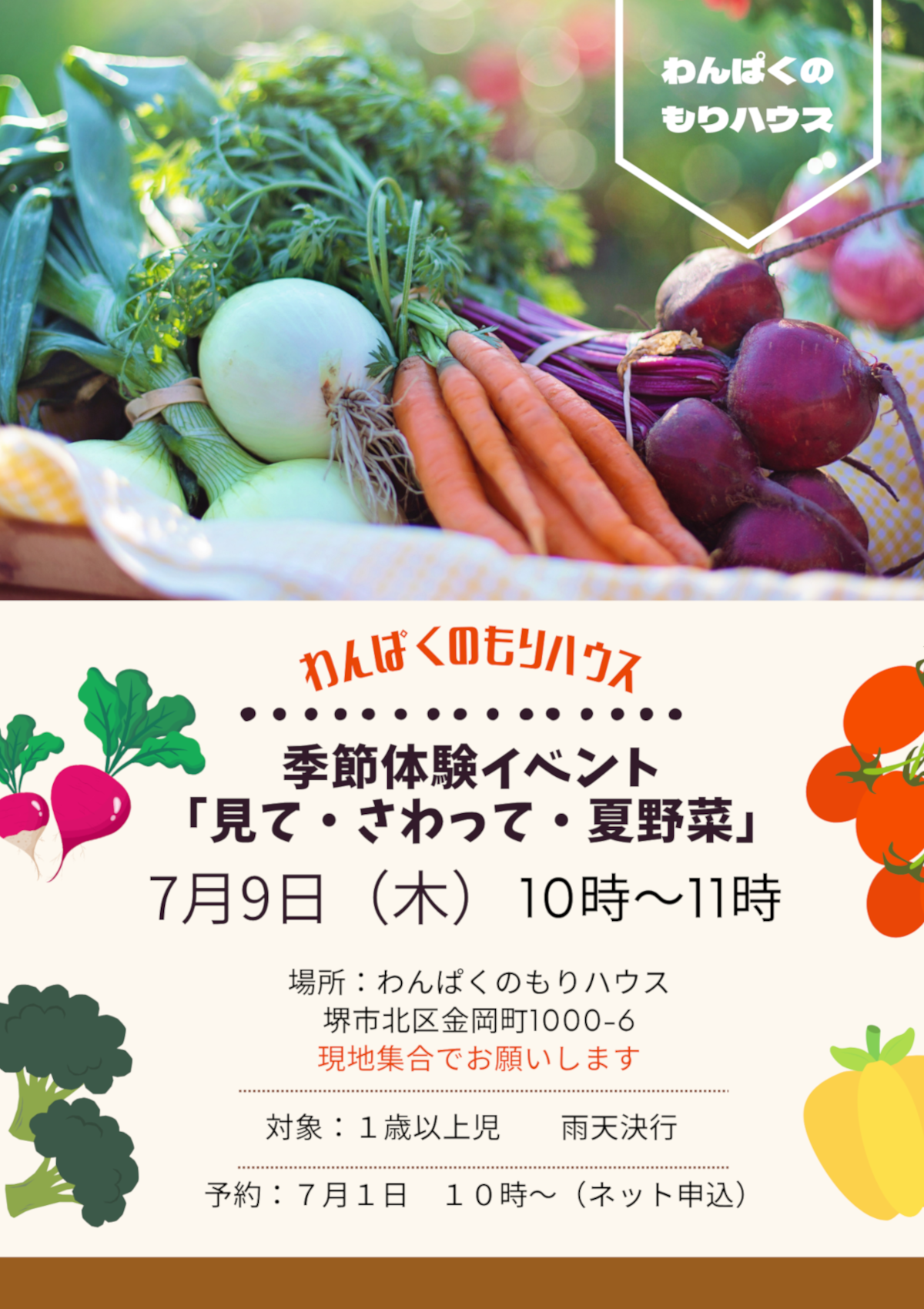 チラシ